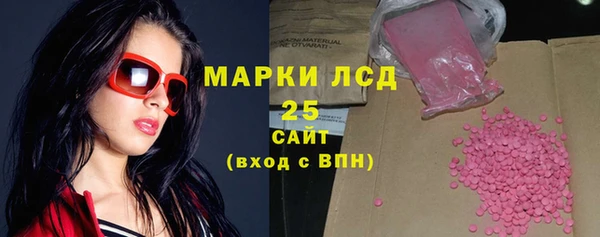 хмурый Алзамай