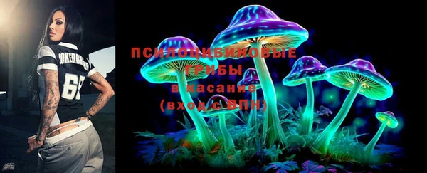 хмурый Алзамай