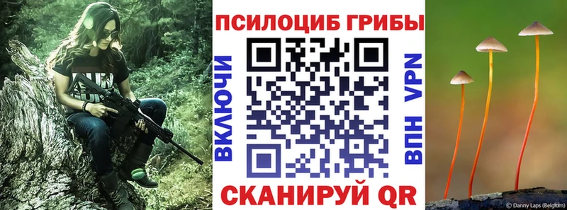 как найти закладки  ОМГ ОМГ зеркало  Галлюциногенные грибы мухоморы  Лукоянов 